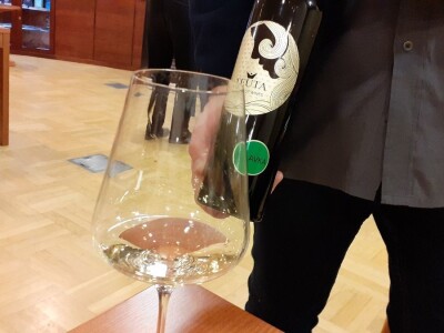 Vinarija Čitluk Vinarija Čitluk