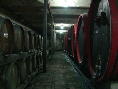 Vinarija Čoka neguje tradiciju dugu više od 100 godina Vinarija Čoka neguje tradiciju dugu više od 100 godina