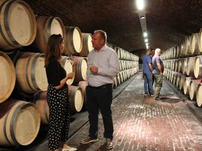 Vinarija Feravino