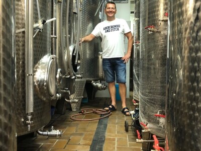 Vinarija Fiolić, Zadar