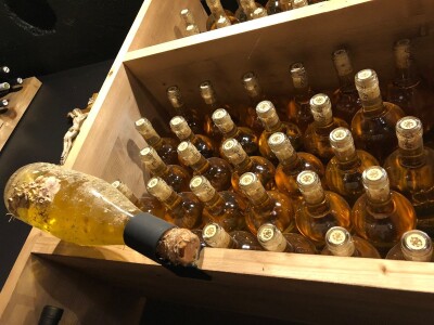 Vinarija Fiolić, Zadar