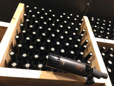 Vinarija Fiolić, Zadar