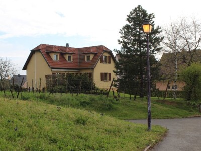 Vinarija Horscher, D'Alsace regija u Francuskoj