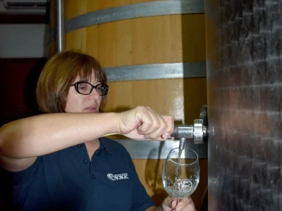 Vinarija JOKIĆ