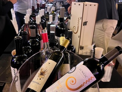 Vinarija Jungić Vinarija Jungić