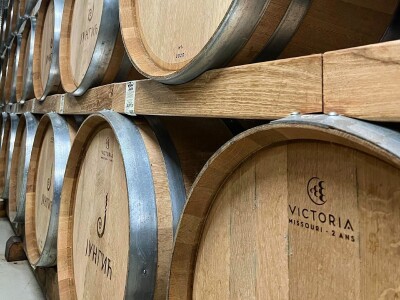 Vinarija Jungić Vinarija Jungić