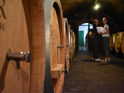 Vinarija Kolar i radionica keramike Asztalos