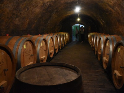 Vinarija Kolar i radionica keramike Asztalos