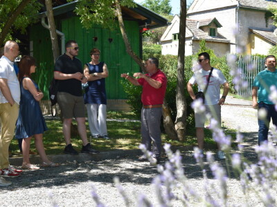 Vinarija Kolar i radionica keramike Asztalos