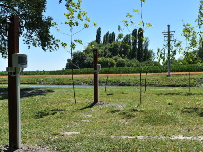 Vinarija Kolar i radionica keramike Asztalos