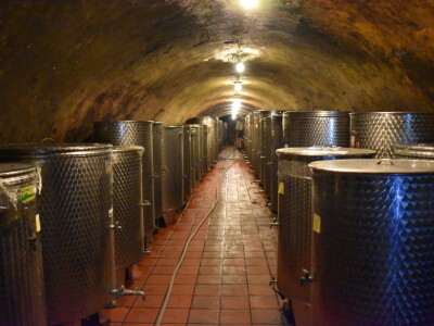 Vinarija Kolar i radionica keramike Asztalos