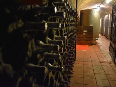 Vinarija Kolar i radionica keramike Asztalos