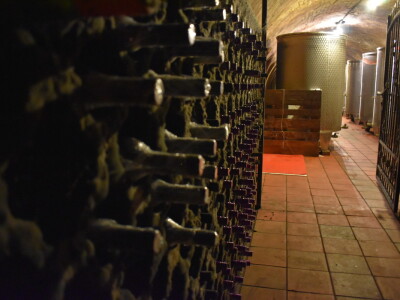 Vinarija Kolar i radionica keramike Asztalos