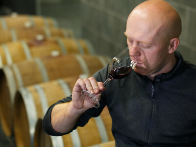 Vinarija Kostanjevec Vinarija Kostanjevec