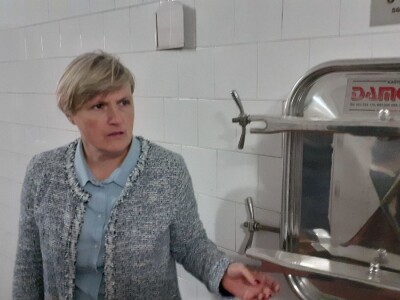 Vinarija Kutjevo - berba grožđa