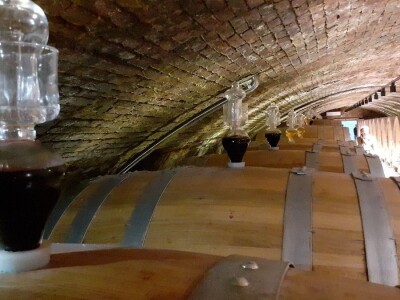 Vinarija Kutjevo - berba grožđa