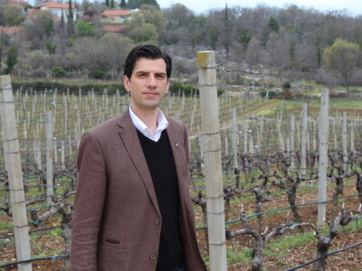 Vinarija Marijanović