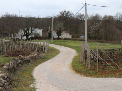 Vinarija Marijanović, Služanj
