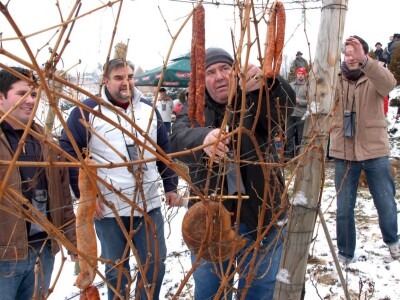 Vinarija Markota Vinarija Markota