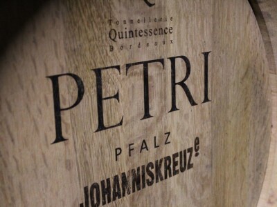Vinarija Petri, vinogorje Pfalz