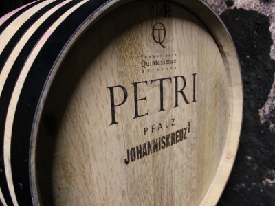 Vinarija Petri, vinogorje Pfalz