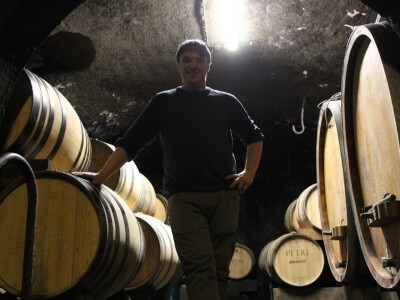 Vinarija Petri, vinogorje Pfalz