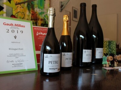 Vinarija Petri, vinogorje Pfalz