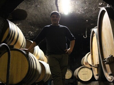 Vinarija Petri, vinogorje Pfalz