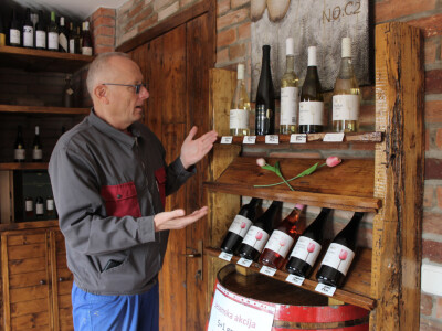 Vinarija Pinkert - OTP banka