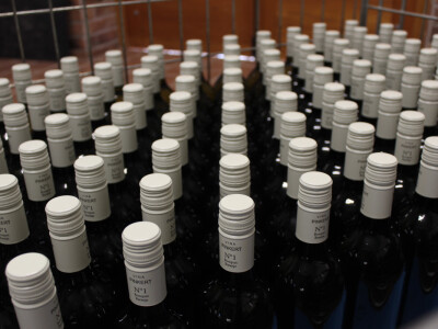 Vinarija Pinkert - OTP banka