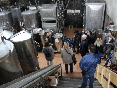 Domaća vina i maslinova ulja predstavljena u Strasbourgu