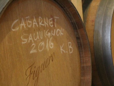 Vinarija Škaulj ugostila sedmu silu agrara