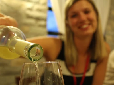 Vinarija Škaulj ugostila sedmu silu agrara