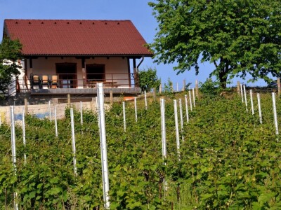Vinarija Sokač