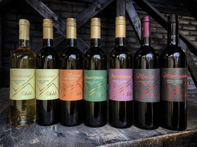 Vinarija Soldo iz Vetova