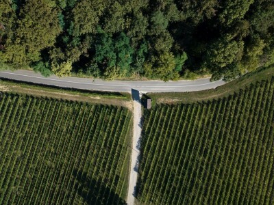 Vinarija Štampar iz Svetog Urbana uspješno je spojila stogodišnju tradiciju, iznimnu kvalitetu i inovativnost u proizvodnji vina