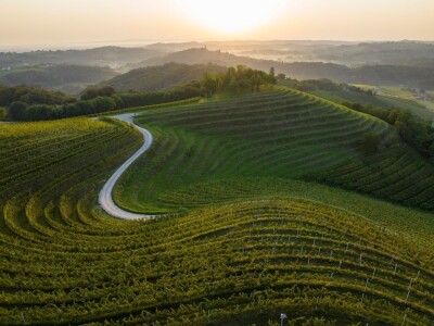 Vinarija Štampar iz Svetog Urbana uspješno je spojila stogodišnju tradiciju, iznimnu kvalitetu i inovativnost u proizvodnji vina
