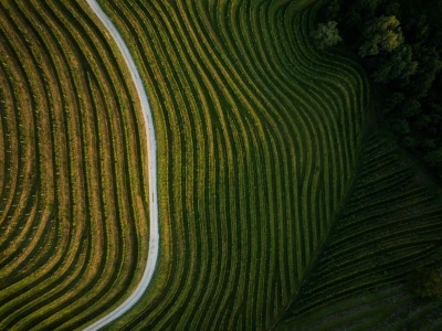Vinarija Štampar iz Svetog Urbana uspješno je spojila stogodišnju tradiciju, iznimnu kvalitetu i inovativnost u proizvodnji vina