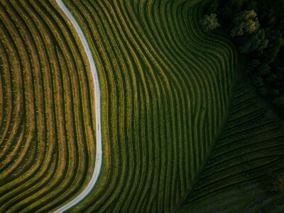 Vinarija Štampar iz Svetog Urbana uspješno je spojila stogodišnju tradiciju, iznimnu kvalitetu i inovativnost u proizvodnji vina