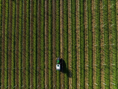 Vinarija Štampar iz Svetog Urbana uspješno je spojila stogodišnju tradiciju, iznimnu kvalitetu i inovativnost u proizvodnji vina