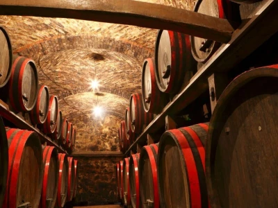 Vinarija Štampar iz Svetog Urbana uspješno je spojila stogodišnju tradiciju, iznimnu kvalitetu i inovativnost u proizvodnji vina
