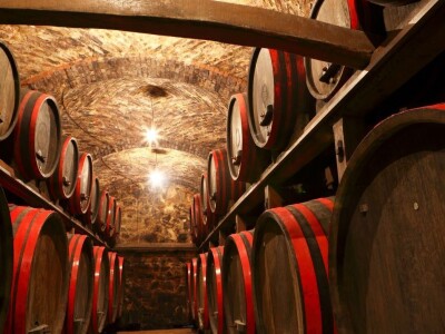 Vinarija Štampar iz Svetog Urbana uspješno je spojila stogodišnju tradiciju, iznimnu kvalitetu i inovativnost u proizvodnji vina