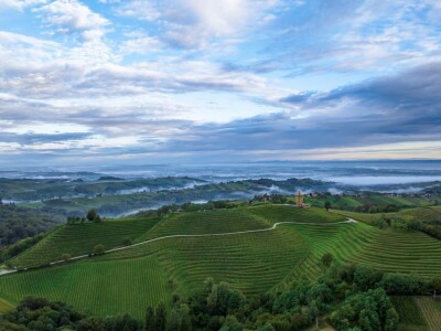 Vinarija Štampar iz Svetog Urbana uspješno je spojila stogodišnju tradiciju, iznimnu kvalitetu i inovativnost u proizvodnji vina