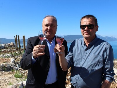 Vinarija Terra Madre, Komarna