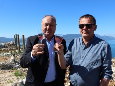 Vinarija Terra Madre, Komarna