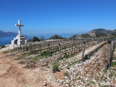 Vinarija Terra Madre, Komarna