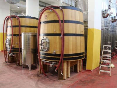 Vinarija Terra Madre, Komarna