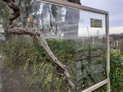 Vinarija Trdenić Vinarija Trdenić