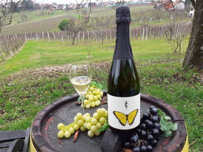 Vinarija Trdenić Vinarija Trdenić