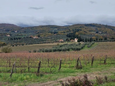 Vinarija u Toskani